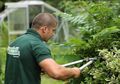 Pekerjaan Sempurna Pemuda Pemotong Rumput