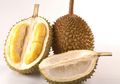 Begini Cara Ampuh Mengemas Durian Agar Baunya Tidak Tercium, Mudah Kok!