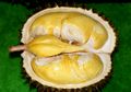 Cegah Panas Dalam dengan Minum Air dari Kulit Durian, Memangnya Ampuh?