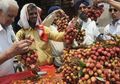 Kok Bisa Buah Lezat Ini Disebut sebagai Penyebab Munculnya Penyakit Misterius di India?