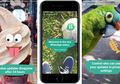 Yuk, Coba 'Status', Fitur Terbaru WhatsApp yang Mirip Snapchat dan Instagram Story