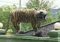 Mari Abaikan Patung Macan Cisewu yang Buruk Rupa Itu, Beralihlah ke Nasib Macan yang Sebenarnya