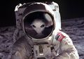 Inilah Reaksi Umat Manusia Jika Alien Benar-benar Ditemukan dan Ada di Dunia Nyata