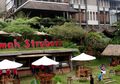 Liburan ke Bandung? Ingat, Pantang Pulang Sebelum ke Lembang!