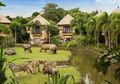 5 Hotel Paling Unik di Bali, Ada Yang Tidur Di Alam Terbuka! Berani Coba?