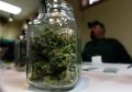 Menurut Penelitian di Amerika, Pencandu Alkohol yang Merokok Ganja Punya Hati yang Lebih Sehat