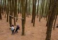 Pesona Wisata Terbaru di Yogyakarta Itu Bernama Imogiri, Anda Wajib Mengunjunginya