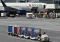 Duh, Hanya Gara-gara Satu Burung Kecil Sebuah Pesawat Delay Berjam-jam
