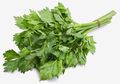 Bukan Hanya untuk Masak, Daun Ketumbar Juga Punya Banyak Manfaat Kesehatan, Termasuk Perlancar ASI