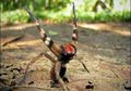 Hati-hati, Inilah Laba-laba Paling Mematikan di Dunia, Bisanya Disebut Bisa Membuat Kita Meninggal Lebih Cepat