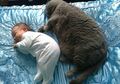 Posisi Tidur Mempengaruhi Mimpi, Tidur di Sisi Kiri Punya Kecenderungan Mimpi Buruk Lebih Besar