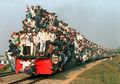 7 Hal Kocak yang Hanya di Temukan di India, Salah Satunya Upacara Mewah Pernikahan Sapi