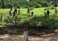 Kelaparan, Rakyat Venezuela Serang dan Mutilasi Sapi dan Kucing yang Mereka Temukan