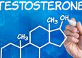 Mengapa Tes Kesuburan Melibatkan Pemeriksaan Kadar Testoteron?
