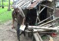 Hidup Sebatang Kara di Gubuk Reyot, Begini Cara Kakek 68 Tahun Bertahan Hidup