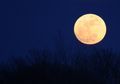 Siap-siap Melihat Gerhana Bulan Super Blue Blood Moon: 7 Mitos dan Teori Tidak Biasa tentang Bulan