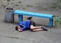 Bangku Taman Ini Rutin Difoto Selama 10 Tahun, Hasilnya Benar-benar 'Penuh Warna'