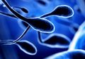 6 Fakta tentang Sperma yang Harus Diketahui oleh Pria