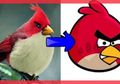 Siapa Sangka Burung-burung di Game Angry Bird Benar-benar Ada di Dunia Nyata, Enggak Kalah Lucu lho…