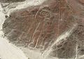 (Foto) Menakjubkan! Geoglif Misterius Nazca Ini Menggambarkan Banyak Hewan