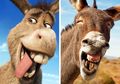 Lucu! Foto-foto di Dunia Nyata Ini Sangat Mirip dengan Adegan dalam Film Kartun Terkenal! Kebetulan?