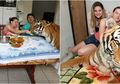 Kisah Satu Keluarga di Brasil yang Hidup Rukun Bersama 7 Harimau di Rumahnya