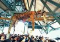 Miris, Penduduk Desa di Sumatera Utara Membunuh Harimau Langka yang Dipercaya sebagai Makhluk Jadi-jadian