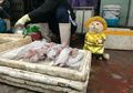 (Foto) Perkenalkan Dog, Kucing Menggemaskan 'Penjual Ikan' di Pasar Lokal Vietnam
