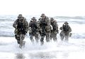 Operation Urgen Fury, Ketika Navy SEAL yang Terkenal Jago Perang di Laut Justru Mati Konyol di Lautan