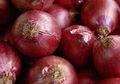 Kulit Bawang Merah Ternyata Punya Manfaat Penting Bagi Kesehatan, Ini Cara Mengolahnya!