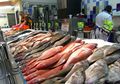 Ini 6 Tips Memilih Ikan yang Layak dan Enak Dikonsumsi, Awas Jangan Tertipu Penampilannya!