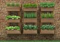 5 Kebun Minimalis dan Praktis Untuk Diterapkan di Lahan Sempit, Bisa Segera Dicoba