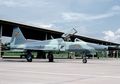 Jet Tempur F-5 E Tiger TNI AU Terjerembab, C-130 Hercules pun ‘Dipaksa’ Mengangkutnya