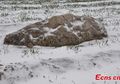 Gunung Terkecil di Dunia Ada di China, Cukup Satu Langkah untuk Mencapai Puncaknya, Tertarik?