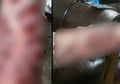 Punya Tato Memang Keren, tapi Jangan Sembarangan Membuatnya Jika Tidak Ingin Seperti Ini