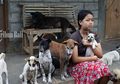 Gadis Bali Pelihara 39 Anjing, Dulu Pernah Koma dan Dokter Angkat Tangan Mendadak Sembuh Karena Dijilat Anjing Hitam