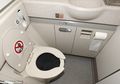 Selama 2 Tahun, Pramugari Ini Melayani Berhubungan Intim di Toilet Pesawat, Bahkan Raup Rp14 Miliar
