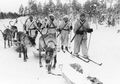 Memanfaatkan Alat Ski, Tentara Finlandia Bikin Raksasa Uni Soviet Keteteran di Perang Musim Dingin