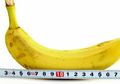 Mitos-mitos Seks yang Tak Boleh Lagi Dipercaya (2): Ukuran Penis dapat Dilihat dari Ukuran Sepatu