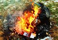 Dampak Membakar Sampah Asal-asalan