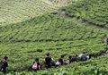 Indah dan Beningnya Hulu Sang Sungai Bencana