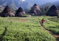 Merintis Wisata Berkelanjutan di Flores