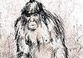 Apakah Misteri Yeti Berhasil Terungkap?