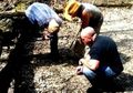 Makhluk Misterius Yeti, Manusia, Beruang, atau Mitos Semata?
