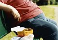 Obesitas Mengancam Negara Berkembang, Bagaimana Mengendalikannya?