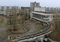 Yang Terjadi Pada Alam Liar Chernobyl Setelah Bencana Nuklir