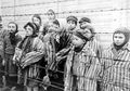 Institut Kejiwaan di Munich Tak Sengaja Simpan Sampel Otak Korban Nazi