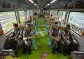 Berwisata Ke Zona Demiliterisasi Korea