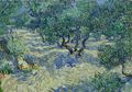 Bangkai Belalang Berusia 128 Tahun Ditemukan dalam Lukisan <i>Olive Trees</i> Van Gogh