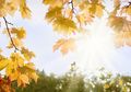 Vitamin D Berpotensi Turunkan Risiko Kanker